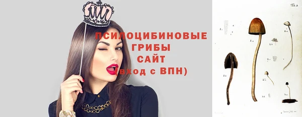 PSILOCYBIN Беломорск