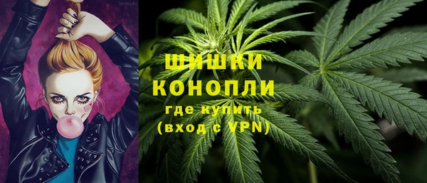 PSILOCYBIN Беломорск