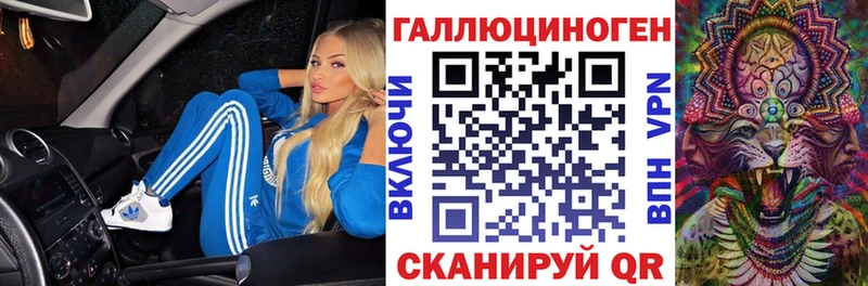 Псилоцибиновые грибы Cubensis  Обь 